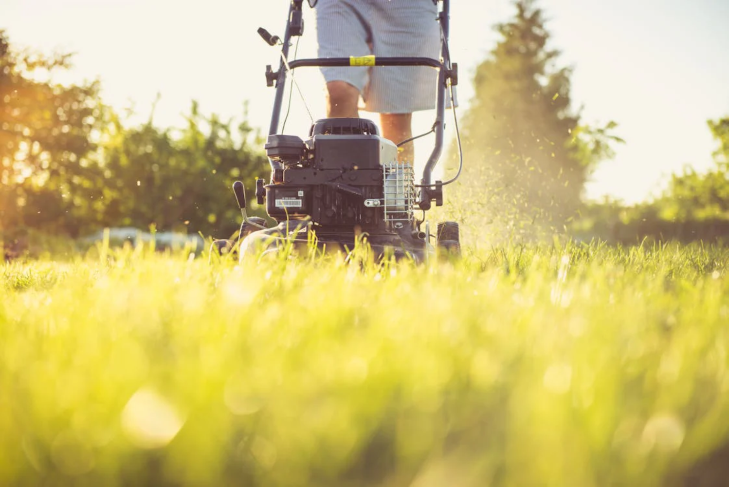 How Robotic Lawn Mowers Save Time and Reduce Labor Costs