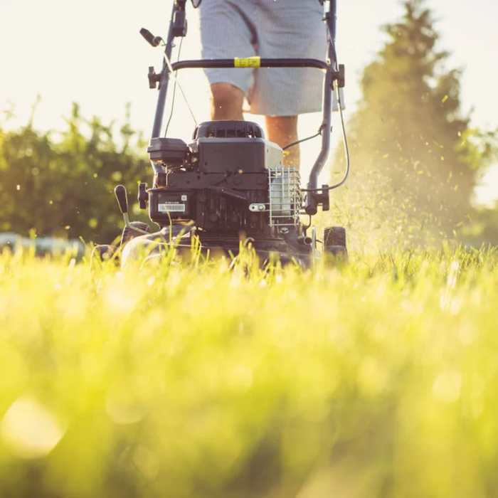 How Robotic Lawn Mowers Save Time and Reduce Labor Costs