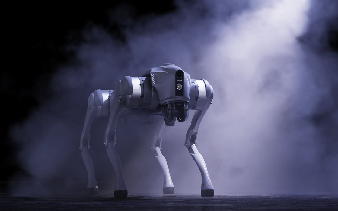 Unitree Go2 EDU quadruped robot walking