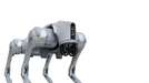 Unitree Go2 EDU quadruped robot, rear three-quarter view
