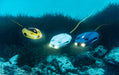 CHASING DORY compact underwater drone