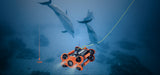 CHASING M2 PRO 4K EIS underwater camera