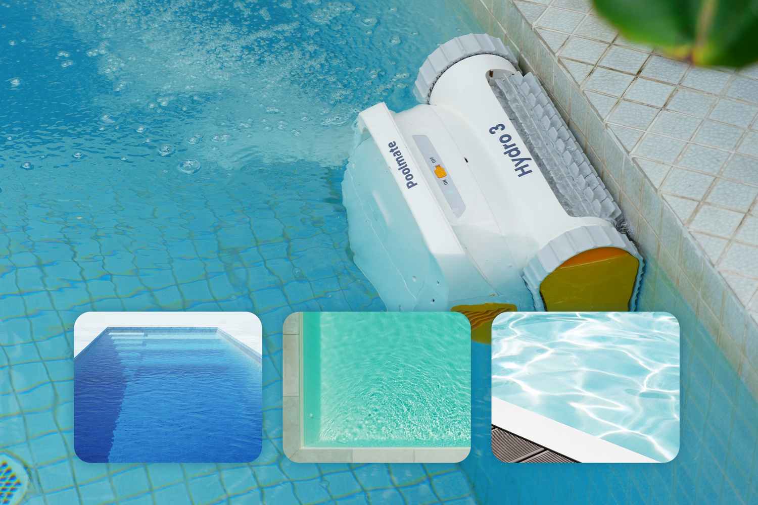 Easy Climb, Easy Scrub