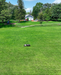 Y-Series Lawn Mower Pro + Leaf Blower configuration reference 2; Y-Series configuration reference